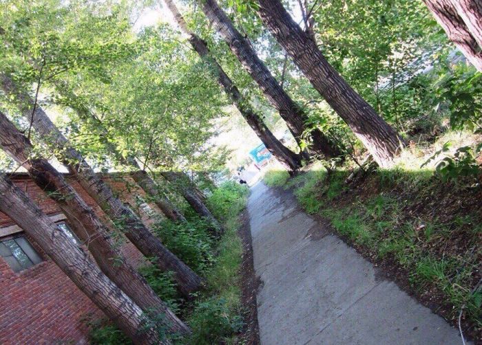 Saking Bagusnya, Foto-Foto Asli Ini Kaya Editan